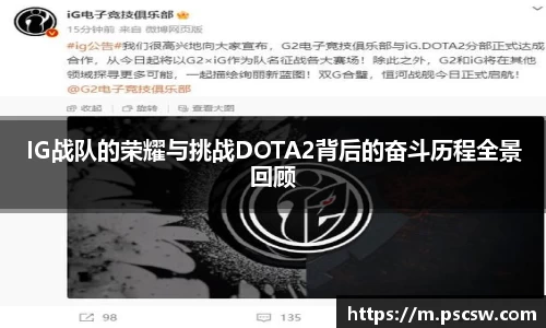 IG战队的荣耀与挑战DOTA2背后的奋斗历程全景回顾