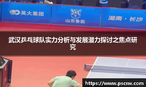 武汉乒乓球队实力分析与发展潜力探讨之焦点研究