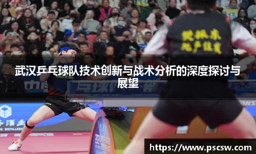 武汉乒乓球队技术创新与战术分析的深度探讨与展望