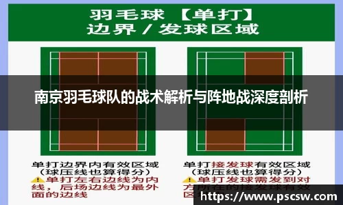 南京羽毛球队的战术解析与阵地战深度剖析